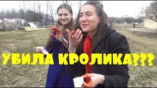 VLOG: УБИЛА КРОЛИКА???