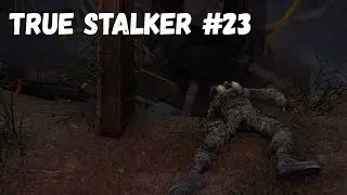 ХОТЕЛИ КАК ЛУЧШЕ, ПОЛУЧИЛОСЬ КАК ВСЕГДА...(Прохождение True Stalker #23)