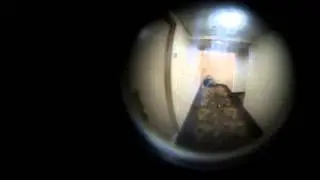 Peep Hole: Drunk Guy at Days Inn