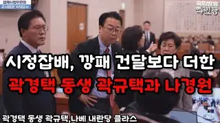 곽경택 동생 곽규택, 나베 내란당 클라스 