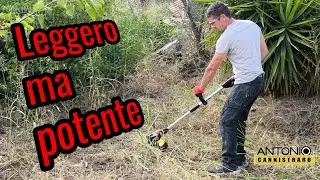 Piccolo ma efficace tagliabordi Nanwei