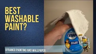 Best Washable Paint for Clinics & Vets: Benjamin Moore vs Sherwin-Williams