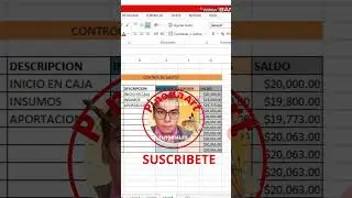 LLEVA UN CONTROL DE TU NEGOCIO FÁCILMENTE CON EXCEL