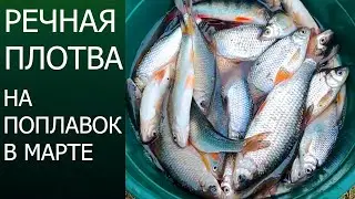 What does ROACH bite on? | FISHING WITH A WIRE. Roach fishing in March!!! 