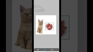как будете проводить пасху?