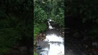 Cheeyappara Waterfalls |Kerala |Munnar Water fall's