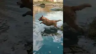 Junior ne Finally kari Swimming ❤️❤️❤️