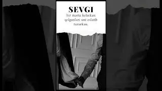 Sevgi... #manolisozlar #aqlligaplar #manoligaplar #mybloopers #shorts #short #sevgi #aql