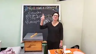 Государственная поддержка на селе. Галиева Оксана Игоревна. 04.11.2022.