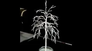 МК: ЗИМНЕЕ ДЕРЕВО из БИСЕРА. Tutorial: Winter tree seed beads