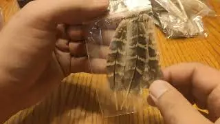 Feathers for Fly Tying