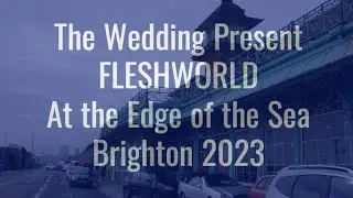 The Wedding Present - Fleshworld