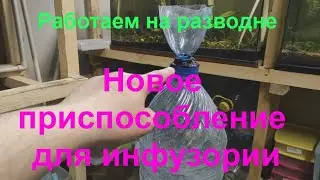 Работаем на разводне и Новое приспособление для инфузории