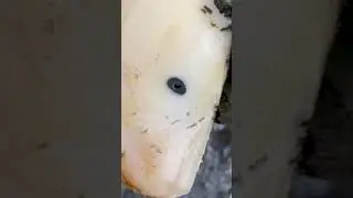 That’s not supposed to be there!   