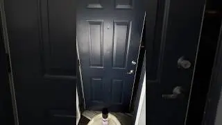 The Best Cleaning Product For Your Painted Doors 🙌🏽 #cleaningtips  #doors #shorts