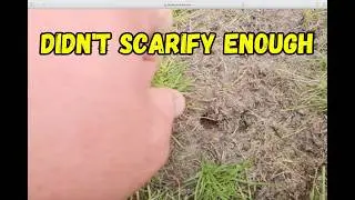 How to repair a patch in the lawn and large garden walk around