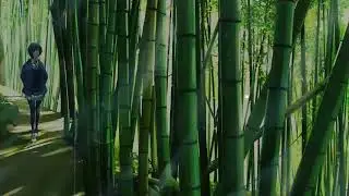 Free calm lofi type beat no copyright background vlog music - Kyoto