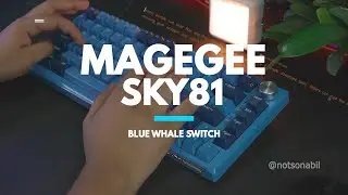 MAGEGEE SKY81 - Sound  test - Blue whale switch and Violet switch