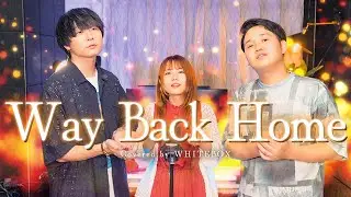 【名曲】Way Back Home / SHAUN Japanese Lyric ver. by SG covered by WHITEBOX