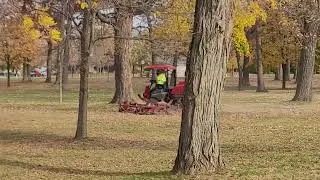Уборка листьев в Вискансине