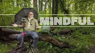 Mindful Photography: the BEAUTY of the RAIN in the FOREST...