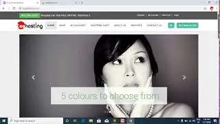 48 Creating checkout page