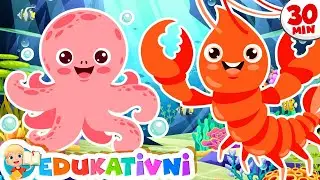 Tko Živi u Moru? 🐬🐙 Učimo Mix: Morske Životinje i drugo 📚 Edukativni Video Za Vrtićku Djecu