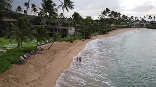 Good morning from Maui!