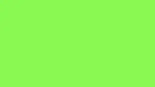 Flying Alligator | GREEN SCREEN EFFECT | on green screen