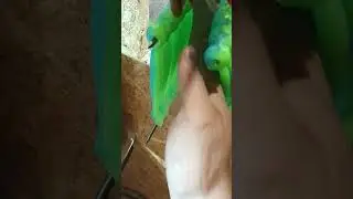 Топ 3 приманок для рыбалки своими руками #джиг #fishing #shorts