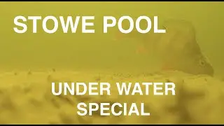 Stowe Underwater Special
