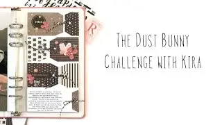Dust Bunny Challenge with Kira