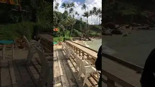 Запускаем дрон и снимаем пальмы на Шри-Ланке. Flying a drone and filming palm trees in Sri Lanka