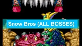 Arcade Snow Bros nick and tom ( All Boses ) スノーブラザーズ Sunō Burazāzu