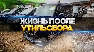 Жизнь после утильсбора #автоизяпонии