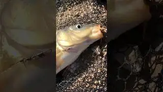 На рыбалке 🇪🇸Испания 