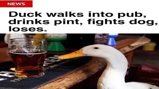 offensive memes that if ylyl v28