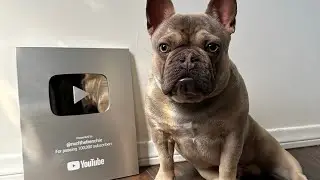 100k on YouTube!! | @nurfthefrenchie