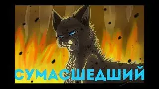 Коты Воители-Уголёк                                       ☆