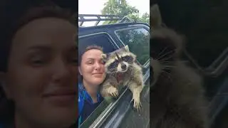 С таким красавчиком как не прокатиться😂