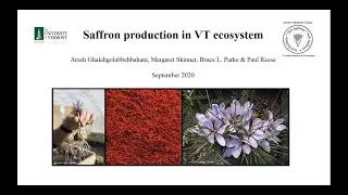 Saffron Production Webinar - VVBGA Webinar Series
