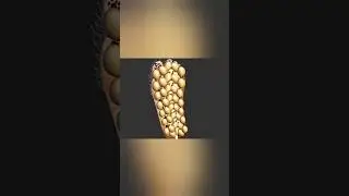 ASMR FOOT SOLE DEEP CLEANING 