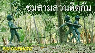 ชม 3 สวน จตุจักร + วชิรเบญจทัศ + สมเด็จพระนางเจ้าสิริกิติ์ + ดนตรีฟังเพลิน ๆ Three Parks in Bangkok