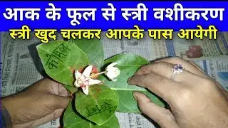आक के फूल से स्त्री आपके प्यार में पागल हो जायेगी सिर्फ 1 बार ऐसा कर दो स्त्री दौड़ती हुई आयेगी
