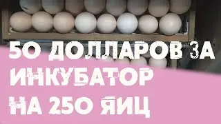 Самодельный инкубатор. Переделка после года использования
