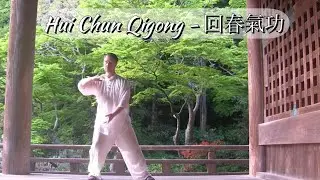 Return to Spring Qigong ☯︎ full form