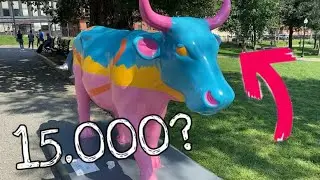 Perchè una mucca a Boston costa 15.000 dollari? #7