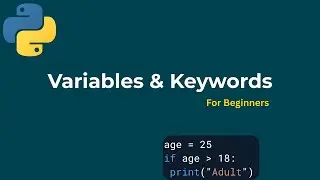 Python Basics: Variables & Keywords Explained (with Examples) - L6