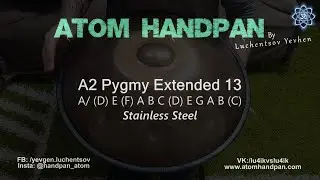 A2 Pygmy Extended 13 Wolf Skin (06 03 2024) Stainless