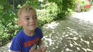 Vlog:Беларусь на связи/ Папа добытчик/ Наловил рыбы и Насобирал лисичек/ Вкуснейший джем